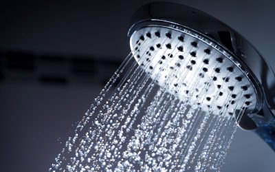 Best Showers in NZ – Walk-In & Space-Saving Picks