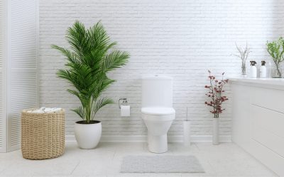 Best Toilets NZ: How to Choose the Right One In 2025